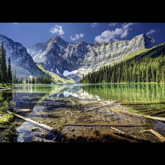 Meet your Posher, Tony - Picture 1 of 1